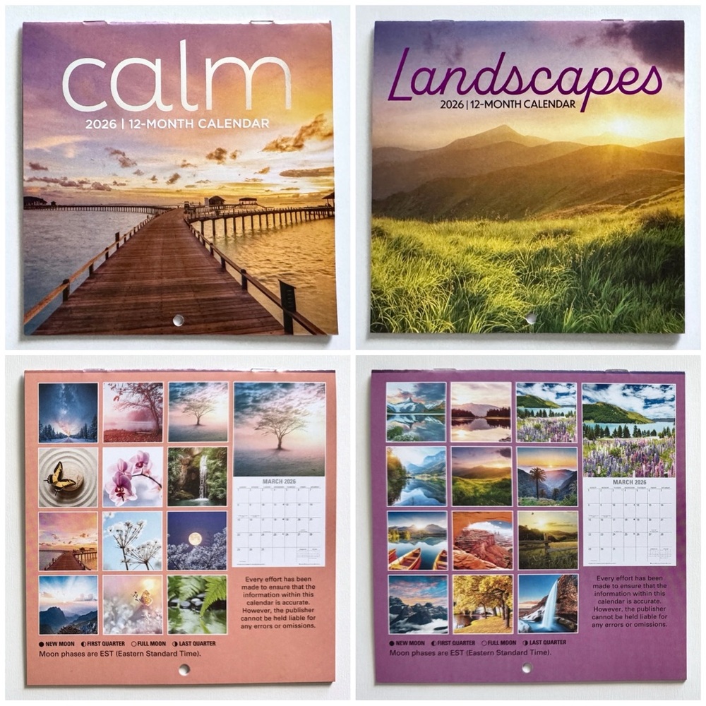 Two 12 - Month 2026 Mini Calendars